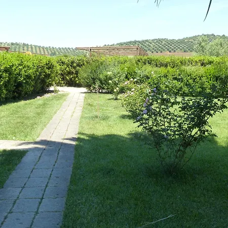 Il Cipresso Penzion *